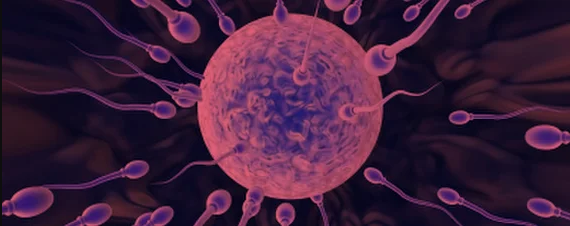 INFERTILITY WORKUP