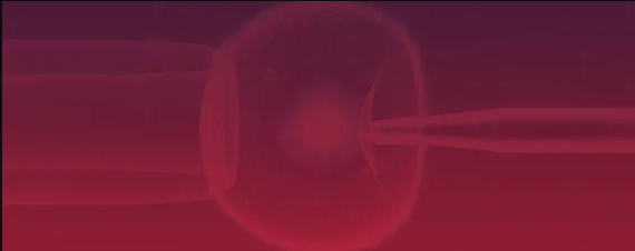 INTRAUTERINE INSEMINATION (IUI)